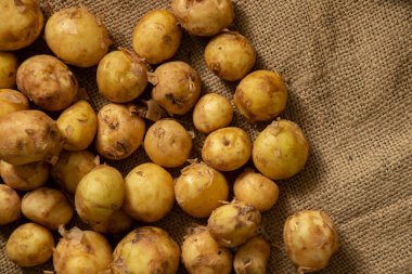 Genç kızıl saçlı, küçük soyulmuş patatesler ahşap bir masanın üzerinde uzanıyorlar.