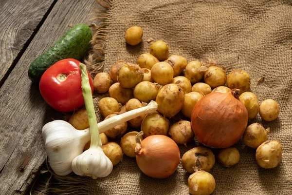 Batatas Cebola Tomate Pepino Alho Colheita Jardim Legumes Uma Mesa — Fotografia de Stock