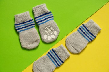 İzole edilmiş arka planda köpekler için gri çoraplar, hayvanlar için kıyafetler, köpekler için çoraplar.