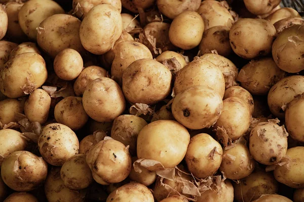 Batatas Cruas Jovens Como Fundo Close Colheita Batatas — Fotografia de Stock