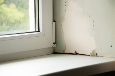 Rutubetli pervazlı kirli pencere, apartmanın penceresinde mantar, onarım