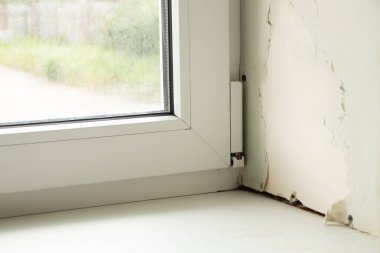 Rutubetli pervazlı kirli pencere, apartmanın penceresinde mantar, onarım