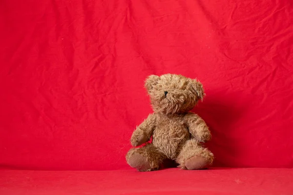 Плюшевый Бурый Медведь Лежит Кровати Детская Игрушка — стоковое фото
