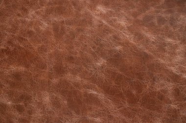brown skin as background, a piece of brown animal skin, macro photo