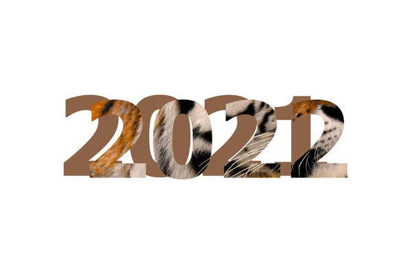 2022 Тигровою Текстурою 2021 Білому Тлі Щасливий Новий Рік Символ — стокове фото