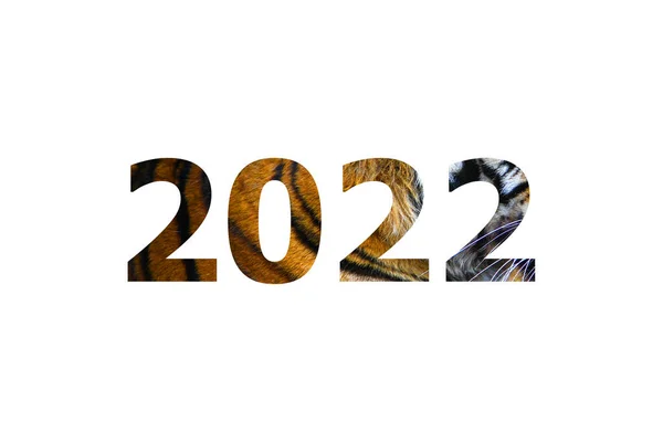 2022 Con Texture Tigre Sfondo Bianco Felice Anno Nuovo Simbolo — Foto Stock