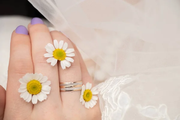 Menyasszony Kezei Jegygyűrűvel Margarétával Ujjában Esküvő Napján — Stock Fotó