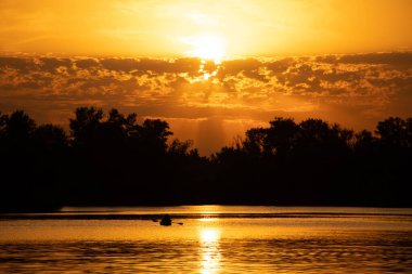 Gün batımında bir teknede balıkçı Ukrayna ormanının arka planında Dinyeper şehrinde, Dinyeper nehrinde altın gün batımında.