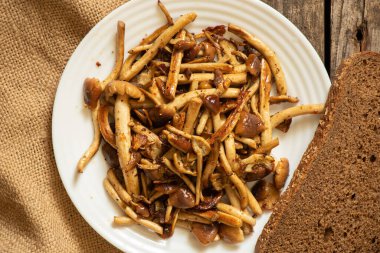 Tabakta kızarmış bal mantarı, eski ahşap bir masada bir parça siyah ekmek, evde kızarmış mantar, öğle yemeği.