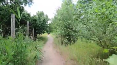 İnsanlar parkta bisiklet sürüyorlar ormanda yol boyunca bisiklet, bisiklet.