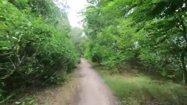 Mensen fietsen in het park langs het bospad, fietsen, fietsen — Stockvideo