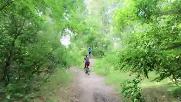 La gente monta bicicletas en el parque a lo largo del camino en el bosque, ciclismo, ciclismo — Vídeos de Stock