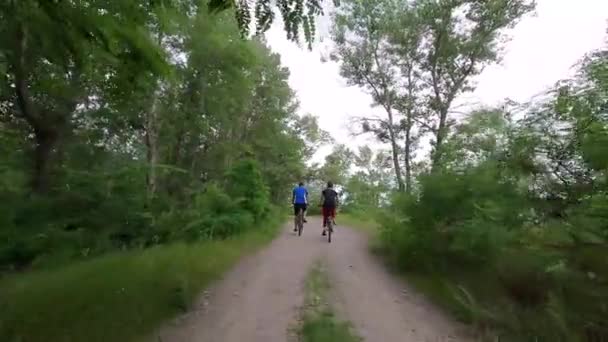 Lidé jezdí na kolech v parku po stezce v lese, cyklistika, cyklistika — Stock video