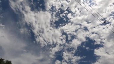 Ağaçlar gökyüzüne karşı hareket ediyor, parkta bisikletten ateş ediyorlar.