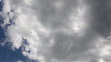 Ağaçlar gökyüzüne karşı hareket ediyor, parkta bisikletten ateş ediyorlar.