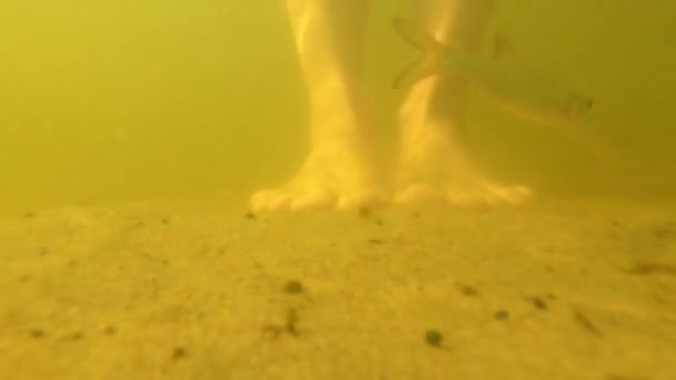 Nehrin Dibindeki Kumun Üzerinde Duran Ayaklar Suyun Altında Çekim Yapan — Stok video