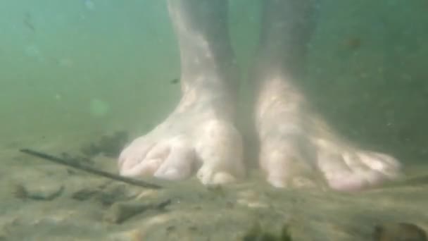 Pés de pé na areia no fundo do rio e pequenos peixes do rio nadar nas proximidades, filmando sob a água, o rio Dnieper na Ucrânia — Vídeo de Stock
