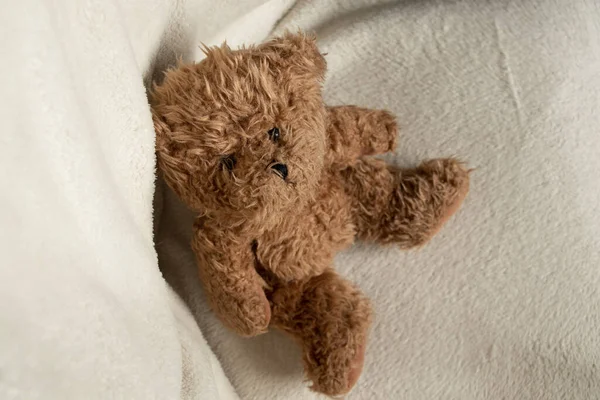 Bruine Baby Teddybeer Zit Een Witte Stoel Kijkt Omhoog Kinderen — Stockfoto