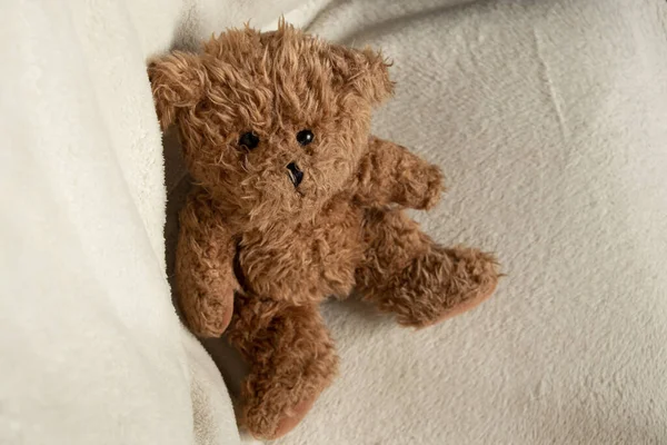 Bruine Baby Teddybeer Zit Een Witte Stoel Kijkt Omhoog Kinderen — Stockfoto