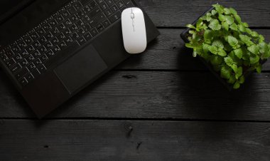 Siyah bir dizüstü bilgisayar ve beyaz bir ayı, siyah ahşap bir masada yeşil bir çiçeğin, çalışma masasında bir dizüstü bilgisayarın yanında duruyorlar.