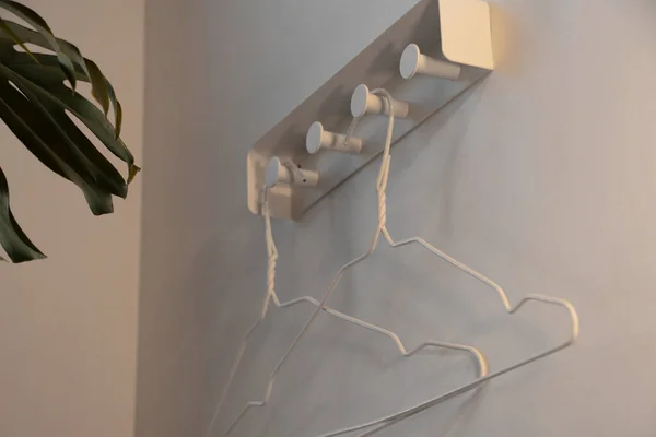 white hangers hang on the wall on hooks near a green indoor flower in an apartment, interior, hangers without clothes