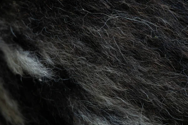 Black Gray Dog Hair Background Dog Hair Fur Coat Background — Stock Photo, Image