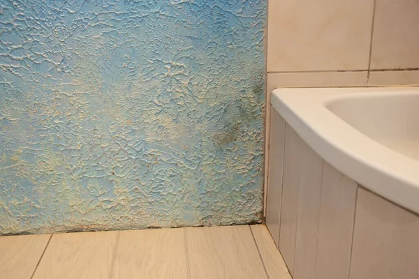 Piso Chuveiro Com Molde Água Umidade Parede Canto Reparos Banheiro — Fotografia de Stock