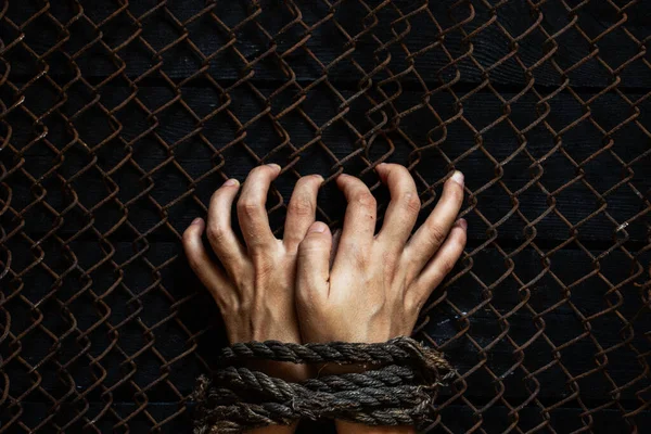 Жіночі Руки Пов Язані Зірками Мотузка Тримається Металевому Паркані Язниці — стокове фото