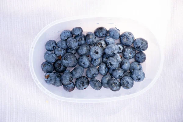 Blueberries Plastic Box Tablecloth Sun Blueberries — Stock Photo, Image