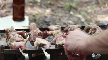 Yazın ateşte domuz rostosu ormanda piknik, barbekü, parkta ateşte et kızartma.