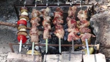 Yazın ateşte domuz rostosu ormanda piknik, barbekü, parkta ateşte et kızartma.