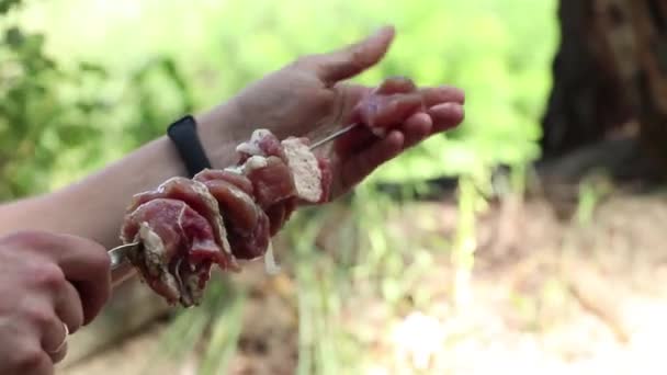 Carne Porco Assada Fogo Verão Piquenique Floresta Churrasco Carne Assada — Vídeo de Stock