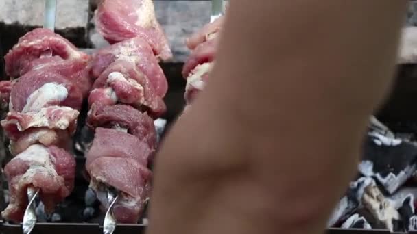 夏天在森林里野餐时烤肉生火 公园里烤肉生火时烤肉生火 — 图库视频影像