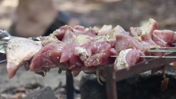 Carne Porco Assada Fogo Verão Piquenique Floresta Churrasco Carne Assada — Vídeo de Stock