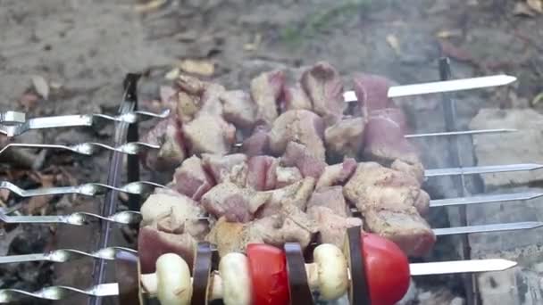 夏天在森林里野餐时烤肉生火 公园里烤肉生火时烤肉生火 — 图库视频影像