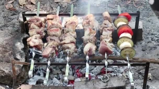 夏天在森林里野餐时烤肉生火 公园里烤肉生火时烤肉生火 — 图库视频影像