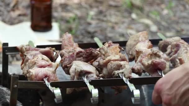 Rôti Porc Sur Feu Été Sur Pique Nique Dans Forêt — Video