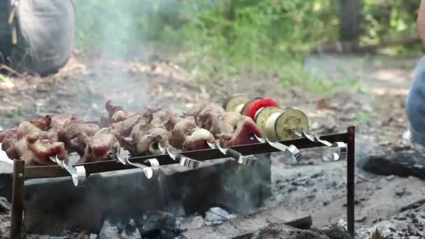 Carne Porco Assada Fogo Verão Piquenique Floresta Churrasco Carne Assada — Vídeo de Stock