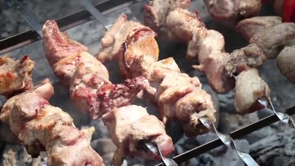 Pieczona Wieprzowina Ognisku Latem Pikniku Lesie Grill Pieczone Mięso Ognisku — Wideo stockowe