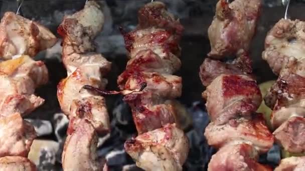 Carne Porco Assada Fogo Verão Piquenique Floresta Churrasco Carne Assada — Vídeo de Stock