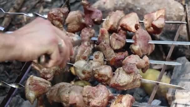 Carne Porco Assada Fogo Verão Piquenique Floresta Churrasco Carne Assada — Vídeo de Stock