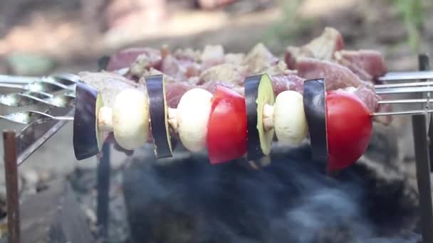 Gebratene Champignons Und Tomaten Mit Auberginen Spieß Über Dem Feuer — Stockvideo