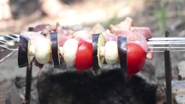 Gebakken Champignons Tomaten Met Aubergine Spiesjes Boven Een Bosbrand Gebakken — Stockvideo