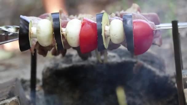Cogumelos Cogumelos Fritos Tomates Com Berinjela Espetos Sobre Fogo Floresta — Vídeo de Stock