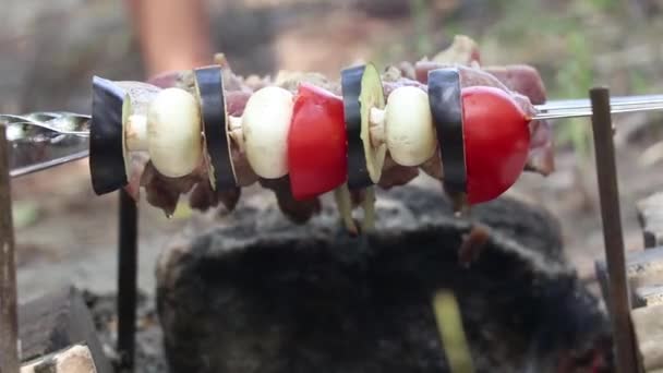 Champignons Frits Tomates Aux Aubergines Sur Brochettes Dessus Feu Dans — Video