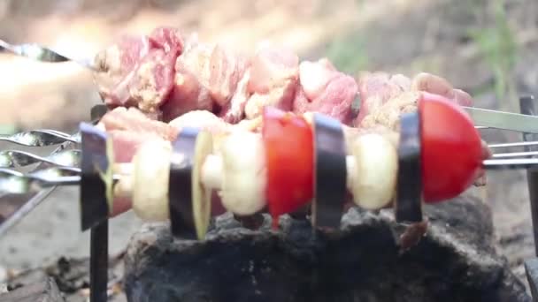 Cogumelos Cogumelos Fritos Tomates Com Berinjela Espetos Sobre Fogo Floresta — Vídeo de Stock