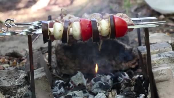 Cogumelos Cogumelos Fritos Tomates Com Berinjela Espetos Sobre Fogo Floresta — Vídeo de Stock