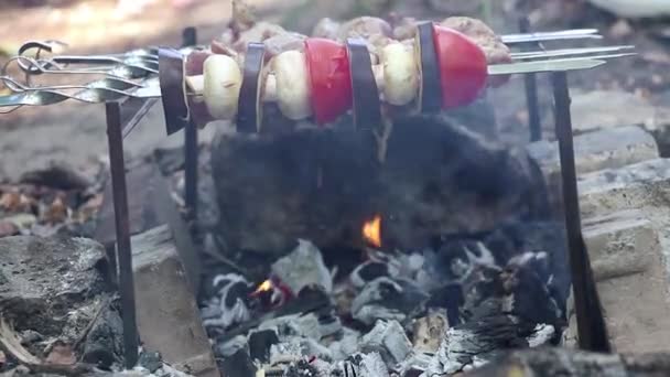 Cogumelos Cogumelos Fritos Tomates Com Berinjela Espetos Sobre Fogo Floresta — Vídeo de Stock