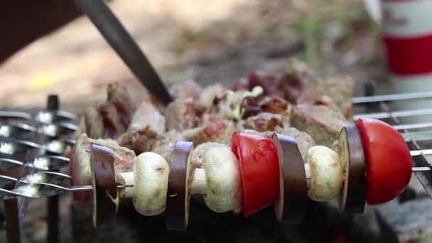 Cogumelos Cogumelos Fritos Tomates Com Berinjela Espetos Sobre Fogo Floresta — Vídeo de Stock