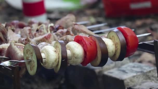 Gebakken Champignons Tomaten Met Aubergine Spiesjes Boven Een Bosbrand Gebakken — Stockvideo